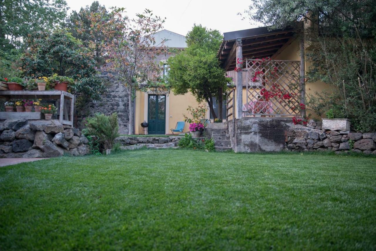 Il Pozzo E L'Ulivo - Just 200 Meters From The Metro - Villa Catania Luaran gambar